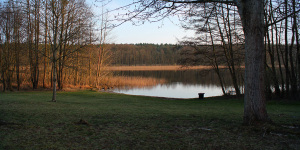 Abendstimmung im Frühjahr