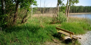 Seeblick
